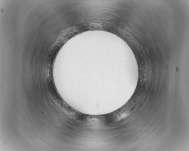 X0000087750706200706041102