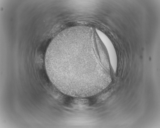 X0000087750707200706041102