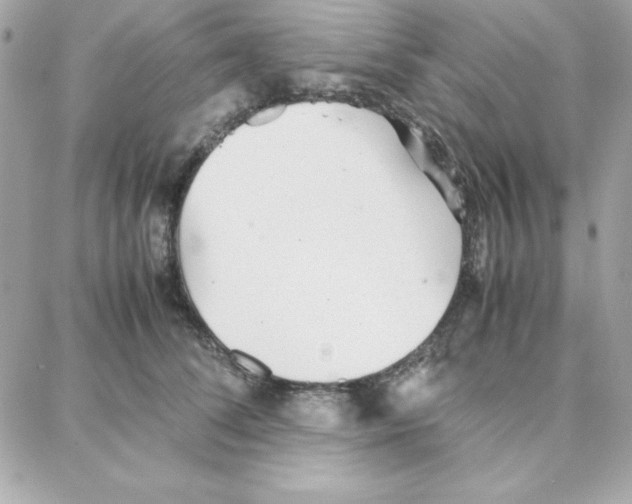 X0000087750708200706041102