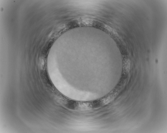 X0000087750709200706041102