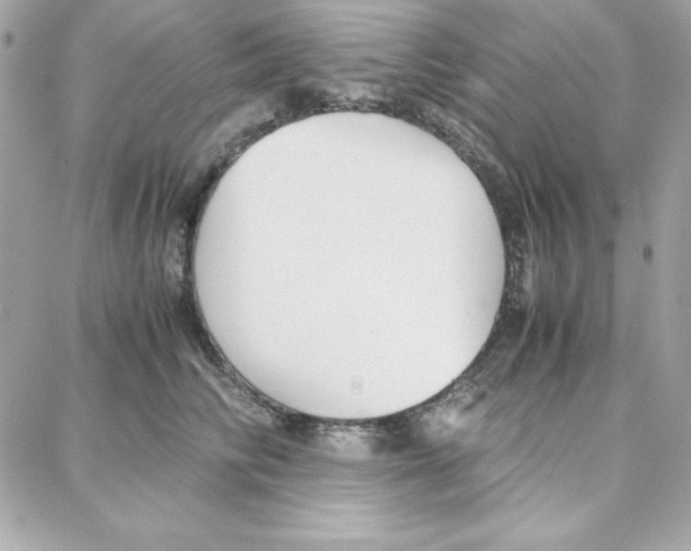 X0000087750710200706041102