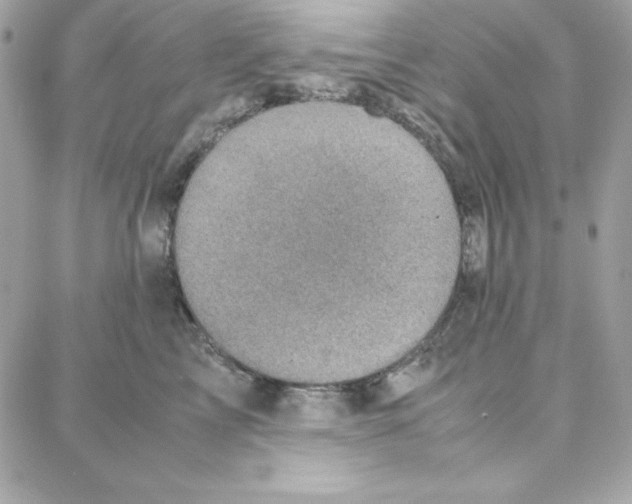 X0000087750713200706041102