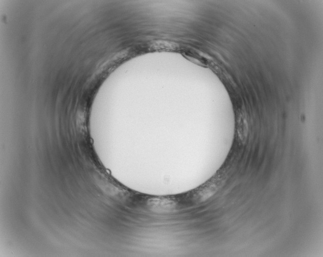 X0000087750714200706041101