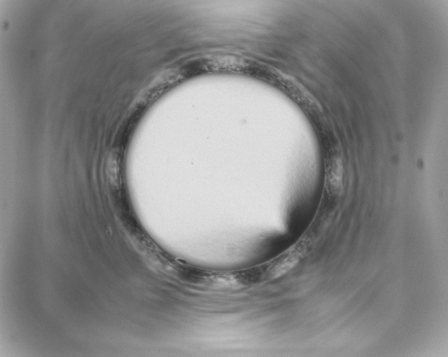 X0000087750715200706041101