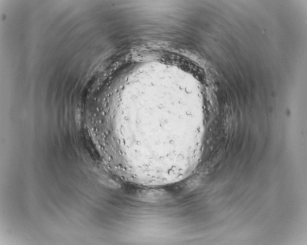 X0000087750716200706041101