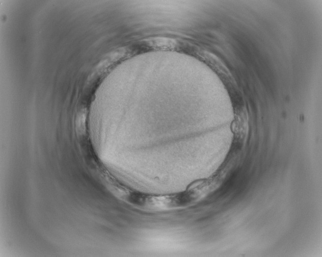 X0000087750717200706041101