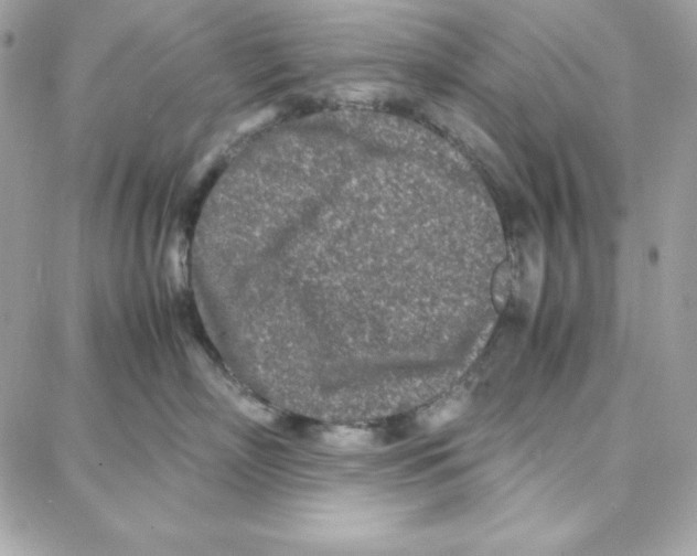 X0000087750718200706041101