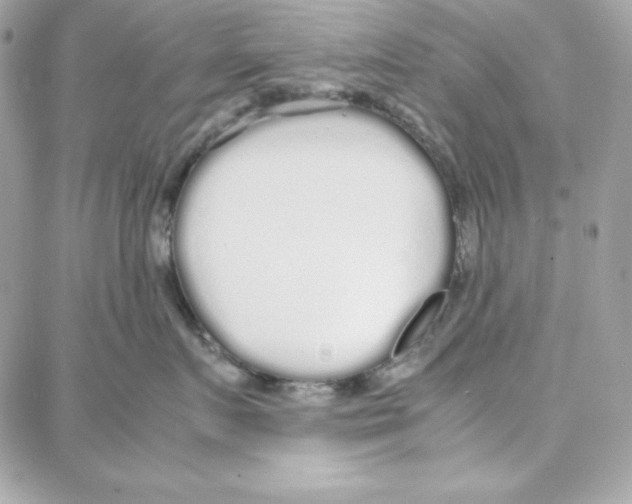 X0000087750719200706041101