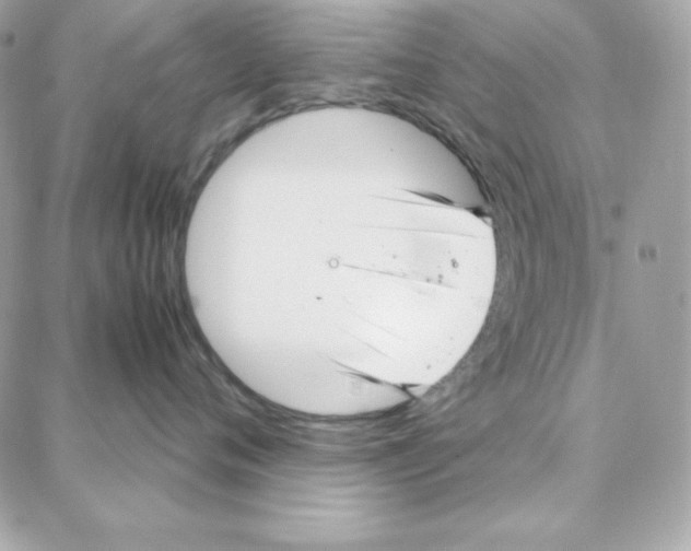 X0000087750720200706041101