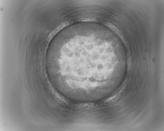 X0000087750721200706041101