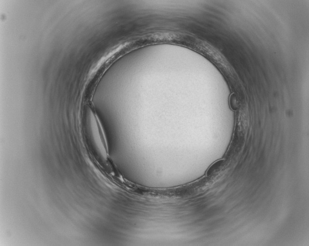 X0000087750722200706041101