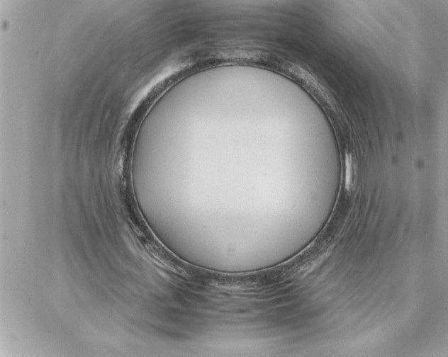 X0000087750723200706041101