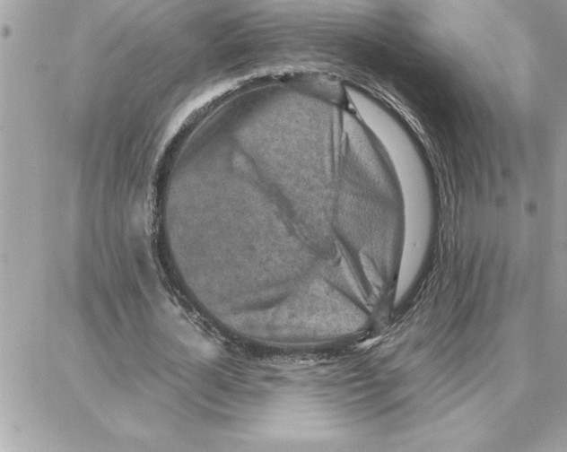 X0000087750724200706041101