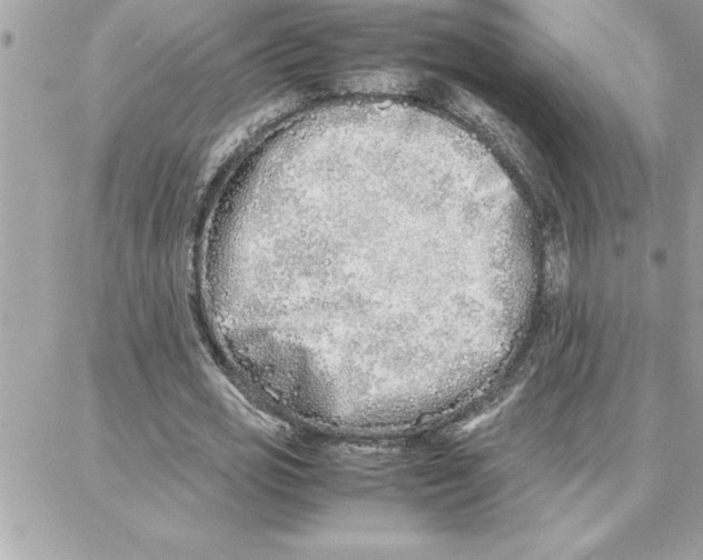 X0000087750725200706041101