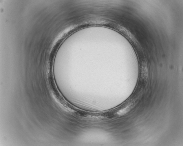 X0000087750726200706041101