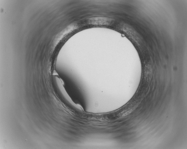 X0000087750727200706041101