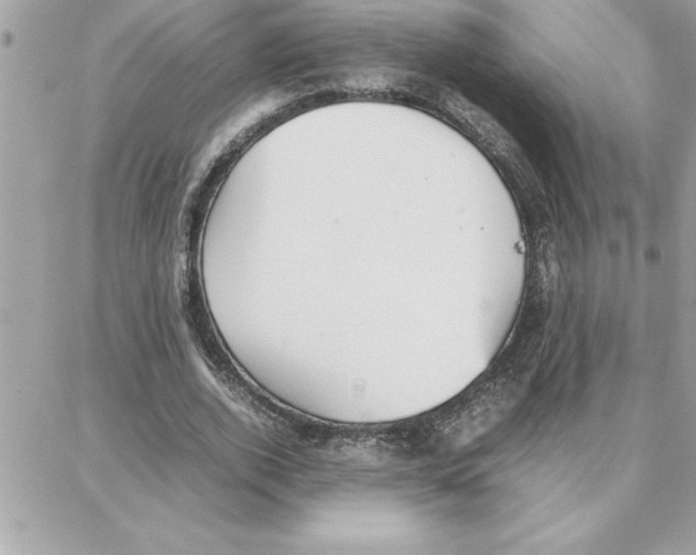 X0000087750728200706041101