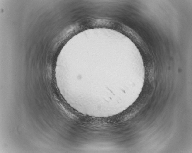 X0000087750729200706041101