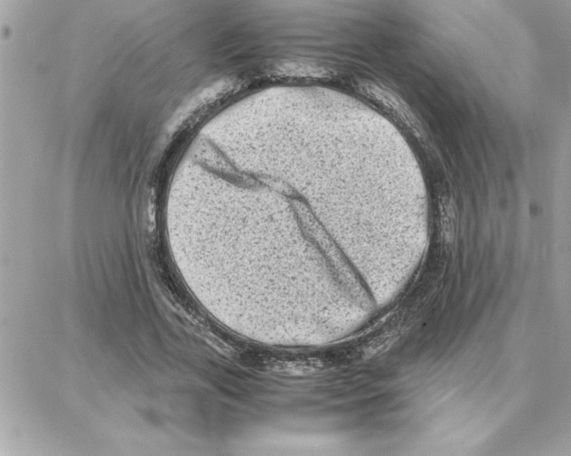 X0000087750731200706041101