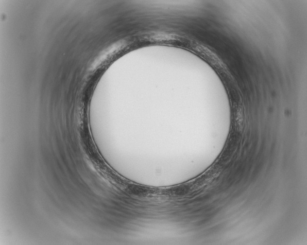 X0000087750732200706041101