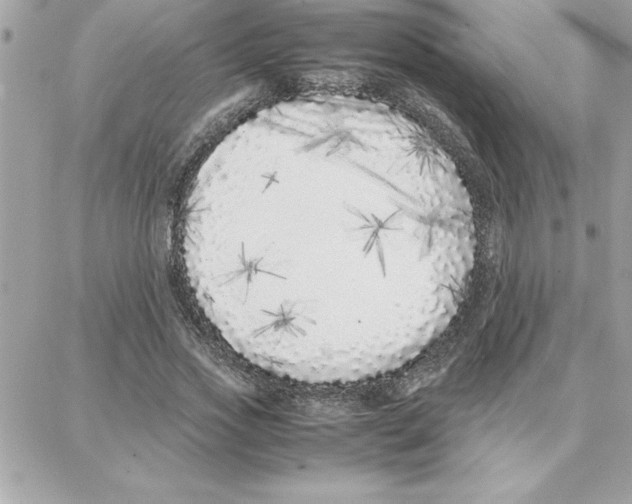 X0000087750733200706041101