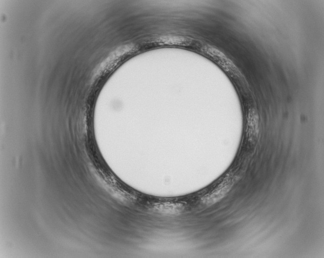 X0000087750734200706041101