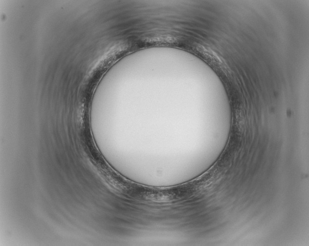 X0000087750735200706041101