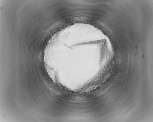 X0000087750737200706041101