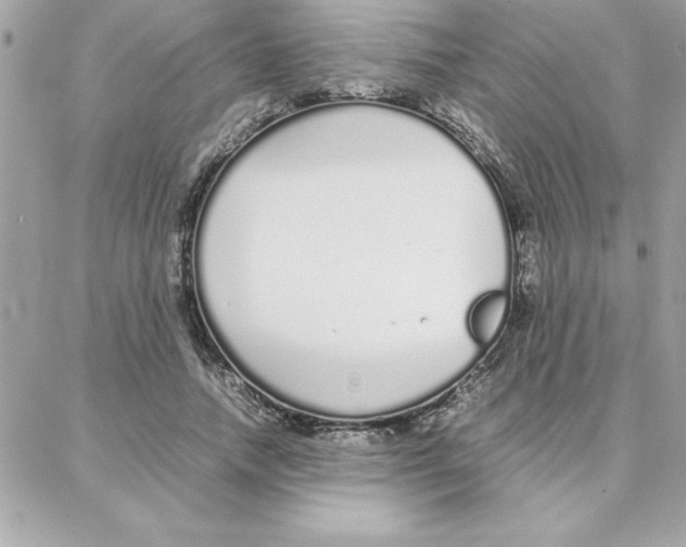 X0000087750738200706041101