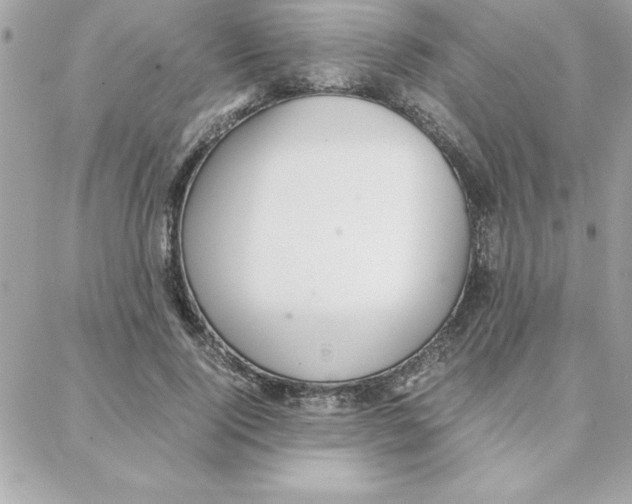 X0000087750740200706041101