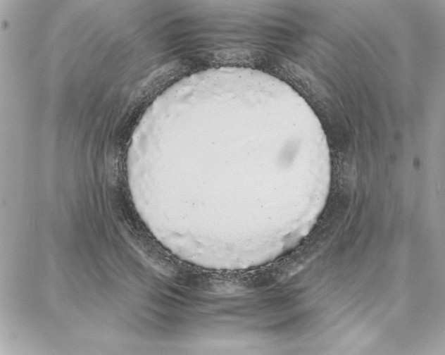 X0000087750741200706041101