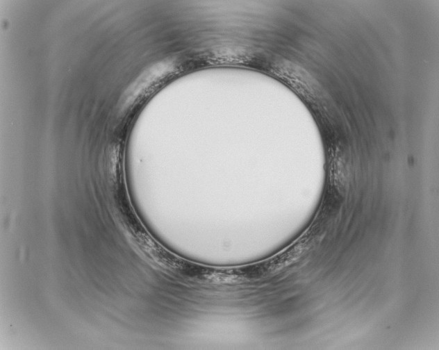 X0000087750742200706041101