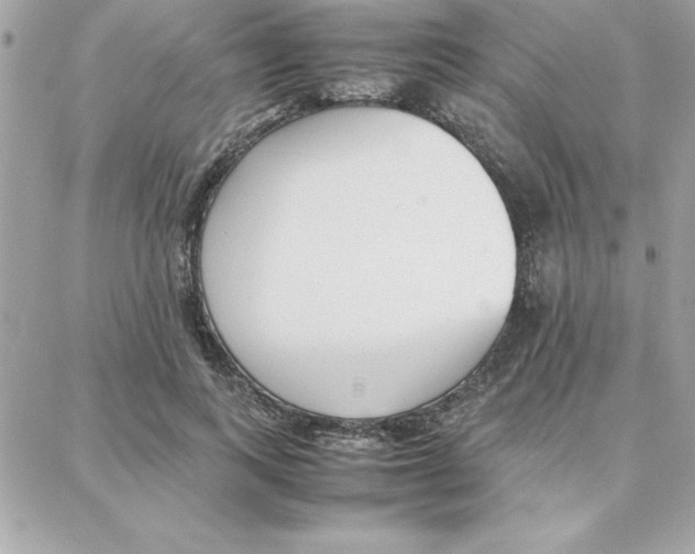 X0000087750743200706041101