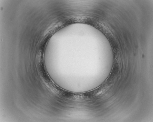 X0000087750744200706041101