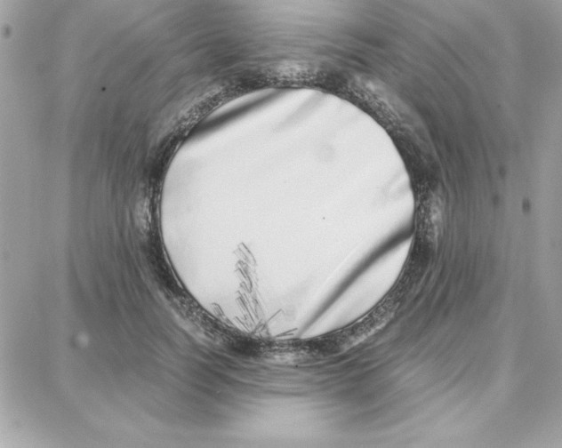 X0000087750746200706041101