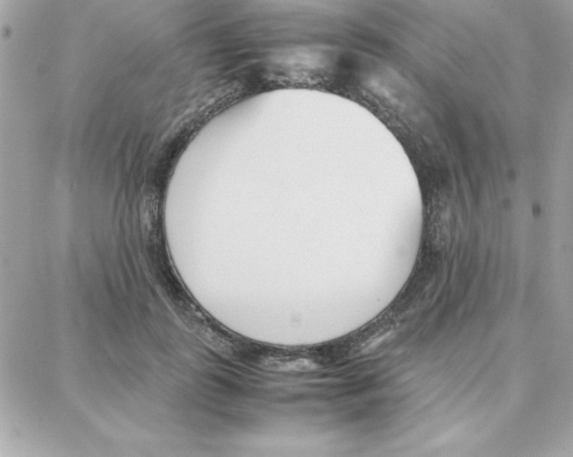 X0000087750747200706041101