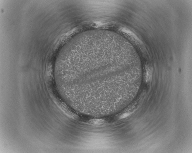 X0000087750748200706041101