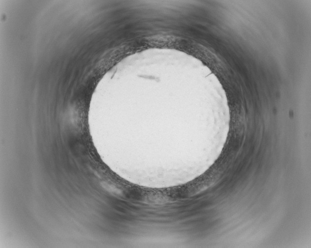 X0000087750749200706041101