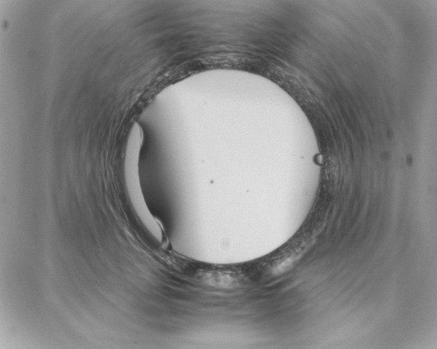 X0000087750751200706041101