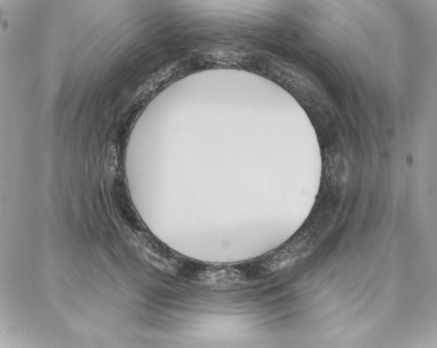 X0000087750752200706041101