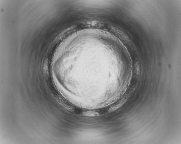 X0000087750754200706041101