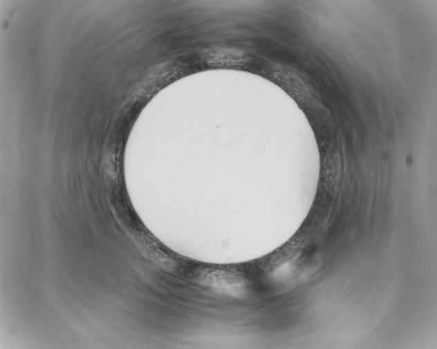 X0000087750755200706041101