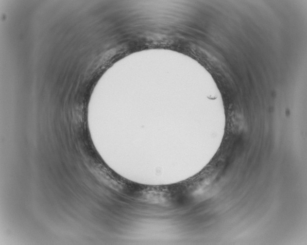 X0000087750756200706041101