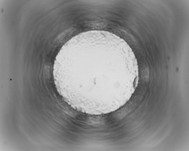 X0000087750757200706041101