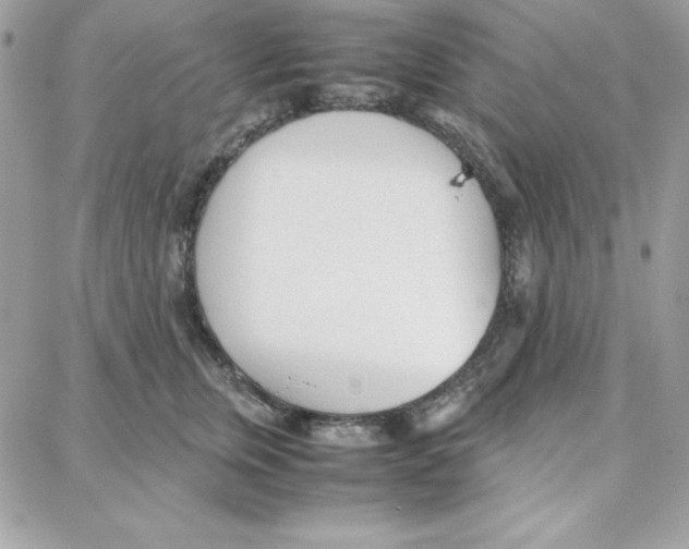 X0000087750759200706041101