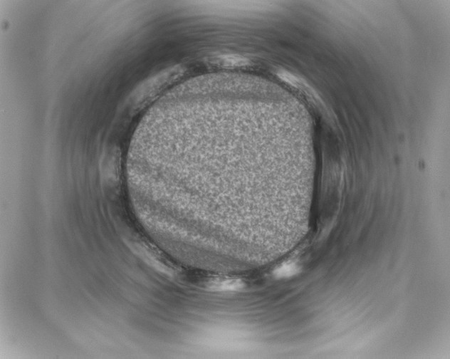 X0000087750760200706041101