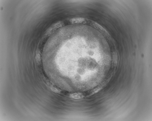 X0000087750761200706041101