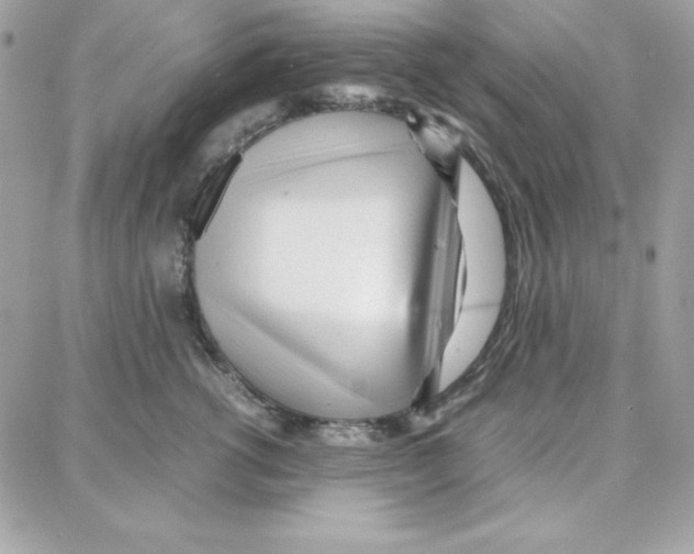 X0000087750762200706041101