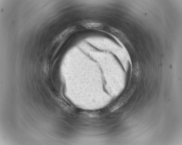 X0000087750763200706041101