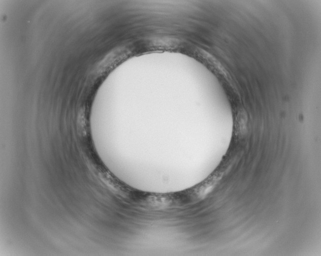 X0000087750764200706041101